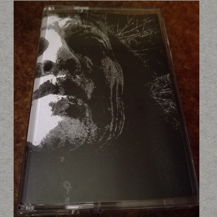 Insidious Omen - To Cast the Last Shadow