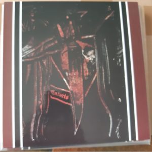 Intolitarian ‎– Suicidal Allegiance 7"