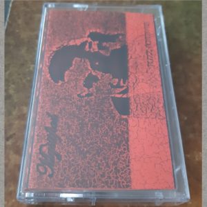 Mystified - Fuzz Forever