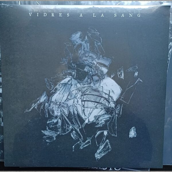 Vidres a la Sang - Fragments de l'esdevenir  12" (black vinyl)