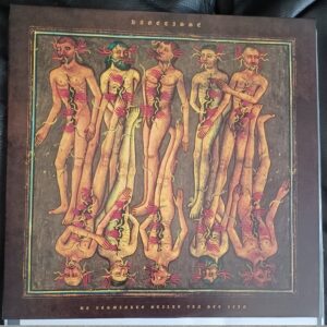 Hagetisse - De Verminkte Stilte van het Zijn 12" (black vinyl)