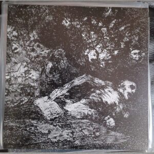 Cryptic Wanderings / In the Shades - split  7"