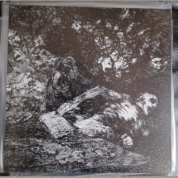 Cryptic Wanderings / In the Shades - split  7"