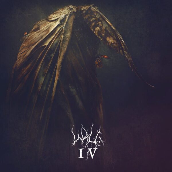 Walg - IV  12"