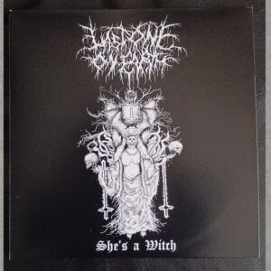 Last One om Earth - She's a Witch  7" vinyl (US import)