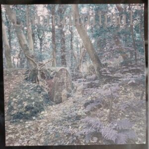 Liminalanimal - The Furies and Futility 12" vinyl (UK import)
