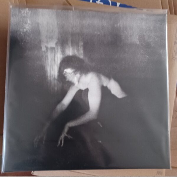 Demande à la Poussière - Quiétude hostile 12"