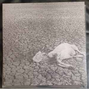 Vukari - Omnes Nihil 12"