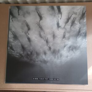 Morild - Disse Fugle Får Ingen At Se  12" (black vinyl)