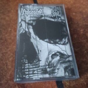 ProFanatism / Serve - Painful Incarnations / Light Devourer *