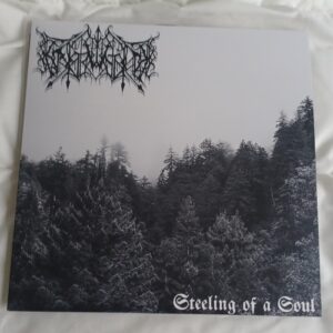 Erstwhile - Steeling of a Soul 12" (US import)