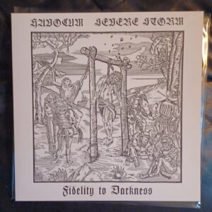 Havocum / Servere Storm - Fedelity to Darkness 12"