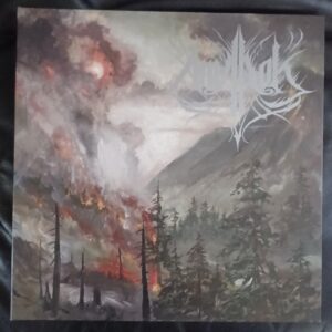 Amarok - Resilience 2x12" (Citrus colour vinyl)