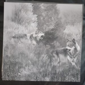 Neige et Noirceur - Septentrion 12"